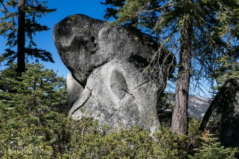 Yosemite National Park - Sentinel Dome - 2014