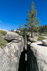 Yosemite National Park - Sentinel Dome - 2014