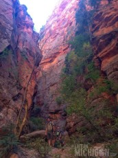 Almost a slot canyon!  Spring Creek hike