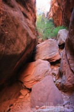 Rock slide on the Spring Creek trail