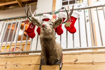 4 Elf - Dark Horse Brewing - 2014 -6