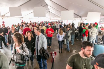 4 Elf - Dark Horse - 2015-5