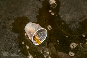 4 Elf - Dark Horse - 2015-94