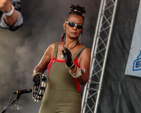 50th-Ann-Arbor-Blues-Festival-35