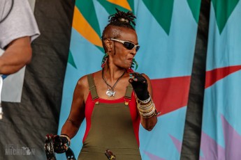 50th-Ann-Arbor-Blues-Festival-42