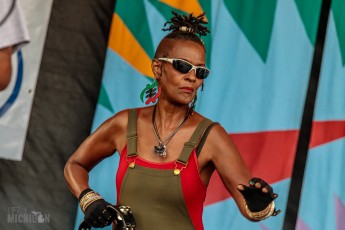 50th-Ann-Arbor-Blues-Festival-45