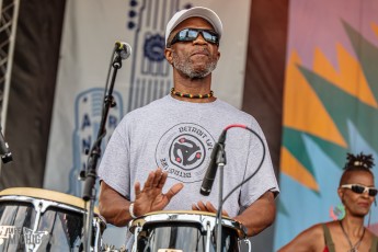 50th-Ann-Arbor-Blues-Festival-49