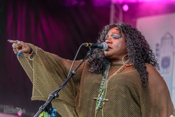 50th-Ann-Arbor-Blues-Festival-64