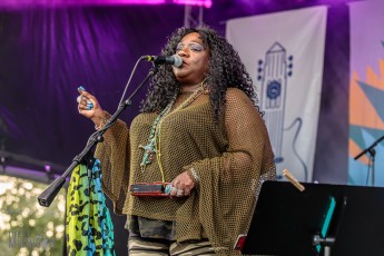 50th-Ann-Arbor-Blues-Festival-65