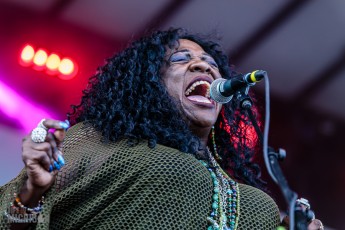 50th-Ann-Arbor-Blues-Festival-72