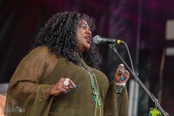 50th-Ann-Arbor-Blues-Festival-73