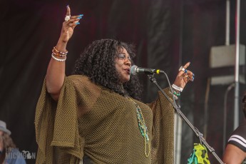 50th-Ann-Arbor-Blues-Festival-74