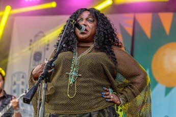 50th-Ann-Arbor-Blues-Festival-85