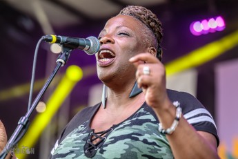 50th-Ann-Arbor-Blues-Festival-89