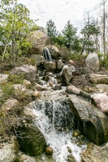 Frederik Meijer Gardens - Spring 2016-36