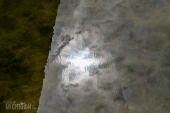 Frederik Meijer Gardens - Spring 2016-43