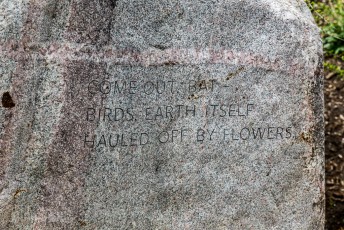 Frederik Meijer Gardens - Spring 2016-44