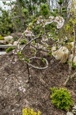 Frederik Meijer Gardens - Spring 2016-46