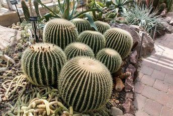 Frederik Meijer Gardens - Spring 2016-5