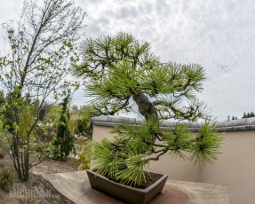 Frederik Meijer Gardens - Spring 2016-50