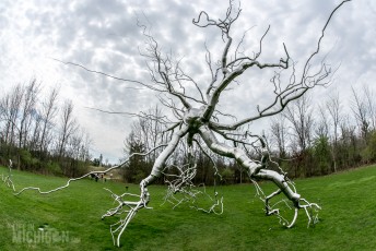 Frederik Meijer Gardens - Spring 2016-55