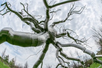 Frederik Meijer Gardens - Spring 2016-56