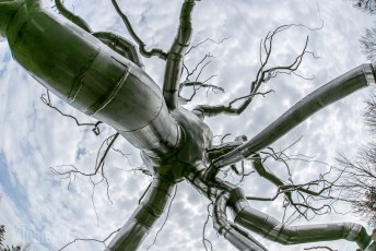 Frederik Meijer Gardens - Spring 2016-57