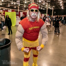 Motor City Comic Con - 2016-173