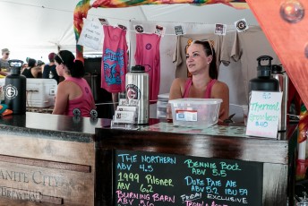 Michigan Summer Beer Fest - 2016-137