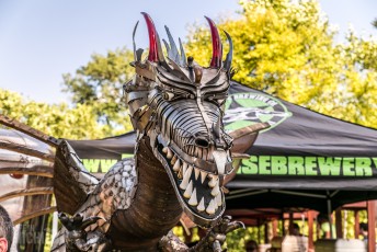 Michigan Summer Beer Fest - 2016-219