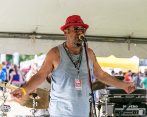 Michigan Summer Beer Fest - 2016-250