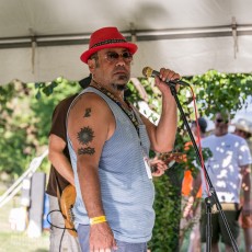 Michigan Summer Beer Fest - 2016-261