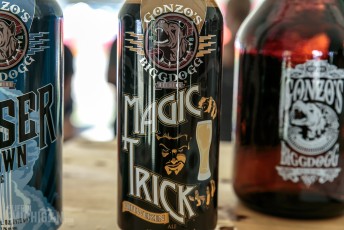 Michigan Summer Beer Fest - 2016-89