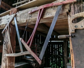 Waterloo Farm Museum - 2016-29