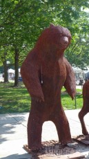 Bears on parade at the South University Art Fair
