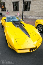 Rolling Sculpture Car Show - Ann Arbor - 2014