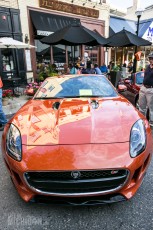 Rolling Sculpture Car Show - Ann Arbor - 2014