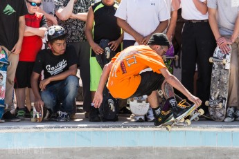 Ann Arbor Skate Park Opening 2014