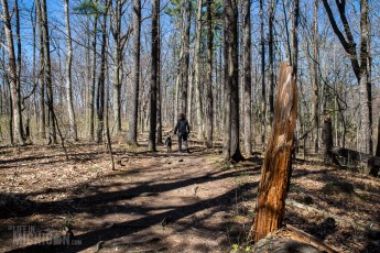 Ann Arbor Trails - Bird Hill - 2015-19