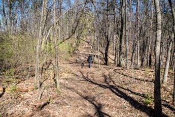 Ann Arbor Trails - Bird Hill - 2015-30