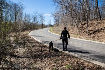 Ann Arbor Trails - Bird Hill - 2015-7