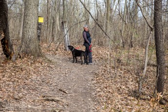Ann Arbor Trails - Leslie -2015-11
