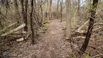 Ann Arbor Trails - Leslie -2015-15