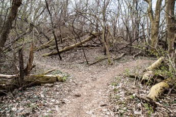 Ann Arbor Trails - Leslie -2015-24