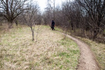 Ann Arbor Trails - Leslie -2015-26