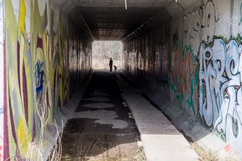 Ann Arbor Trails - Leslie -2015-29