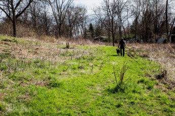 Ann Arbor Trails - Leslie -2015-3