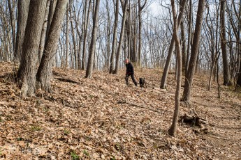Ann Arbor Trails - Leslie -2015-8