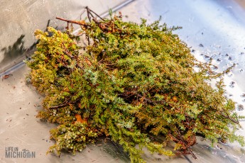 Archival-Barrel-Beam-Collab-Unicorn-2023-37