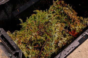 Archival-Barrel-Beam-Collab-Unicorn-2023-5